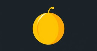 Yellow Fruit Like Muskmelon