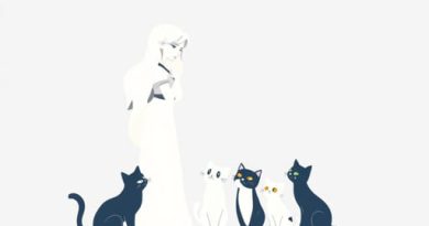 Zelda Questioning The Local Cats