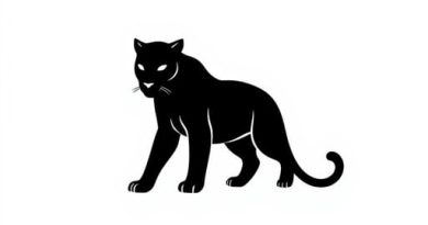 Black Panther Damson Idris