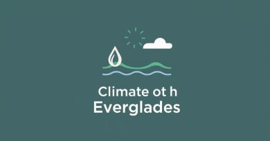 Climate Of The Everglades