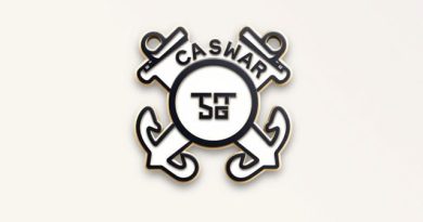 Coast Guard Coxswain Pin