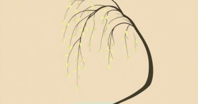 Crescent City Sarah J Maas