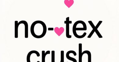 Crush Artinya Dalam Bahasa Gaul