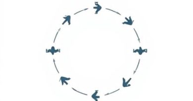 Cycle Of Failure Mediocrity And Success