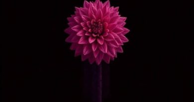 Damson Madder Dahlia Quilted Coat