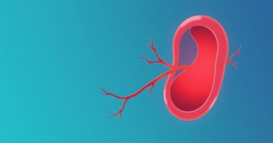 Efferent Arteriole Constriction Effect On Gfr