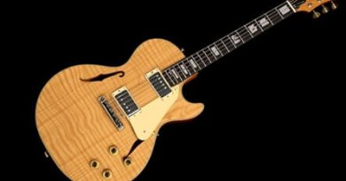 Epiphone Pr7e Birdseye Maple