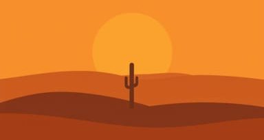Facts About The Desert