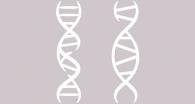 Genetic Diseases Resulting From Consanguineous Marriage