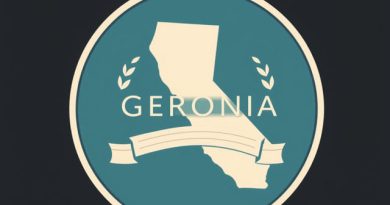 Georgia Meritorious Service Medal