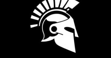 How Much Is A Cranial Helmet