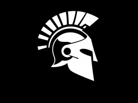 How Much Is A Cranial Helmet