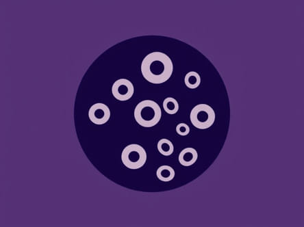 How To Count Mitoses In Melanoma