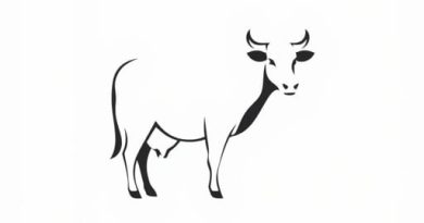 Is Cow A Herbivorous Animal