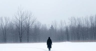 January Cold Desolate Poem