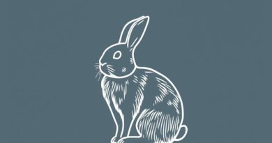 Jennifer Coolidge Velveteen Rabbit