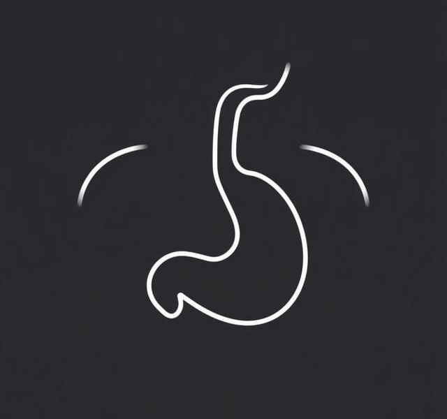 Levels Of Esophageal Constriction