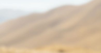 Meaning Of Compelling Reason