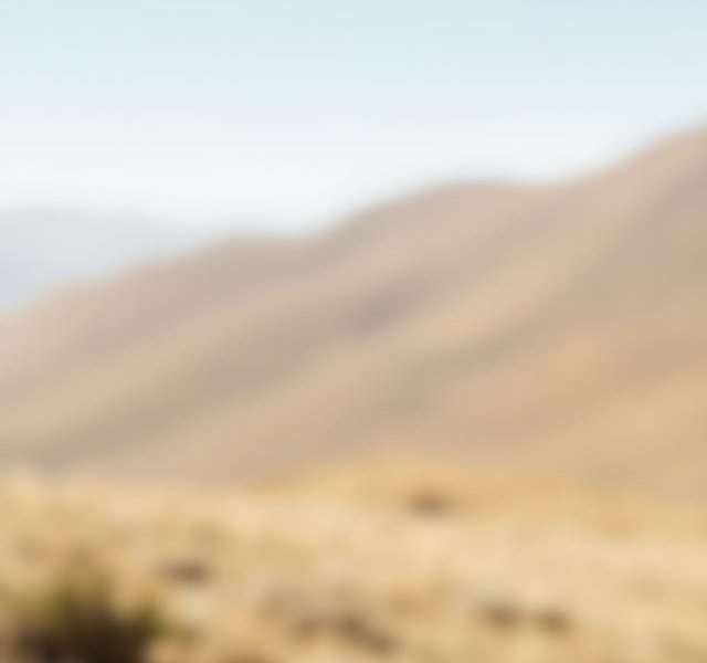 Meaning Of Compelling Reason