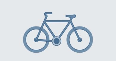 Neelam Dazzler Cycle Price