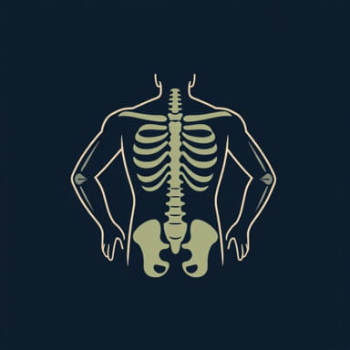 Odlotowa Komedia Czyli Lumbago