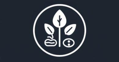 On The Basis Of Origin Classify Resources