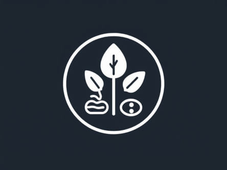 On The Basis Of Origin Classify Resources