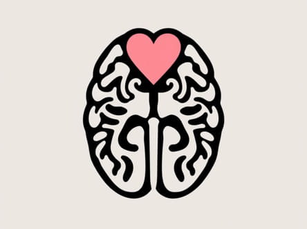 Organ Donor Brain Dead