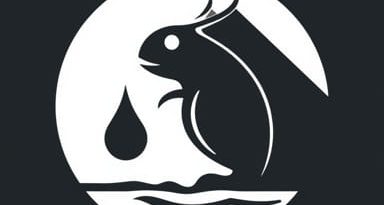 Paratyphoid Cure Van Der Sluis