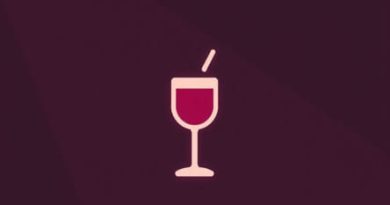 Party Never Ends Release Date