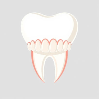Premolar Classification Of Malocclusion