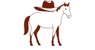 Quarter Horse Crease Western Hat