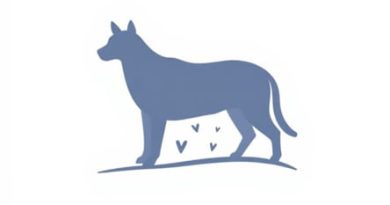 Quebec Highlands Animal Clinic