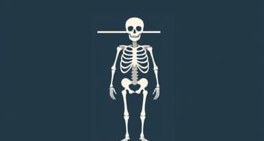 Quotes About Skeletons In The Closet