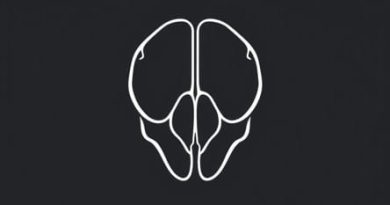 Rathke Cleft Cyst Mri