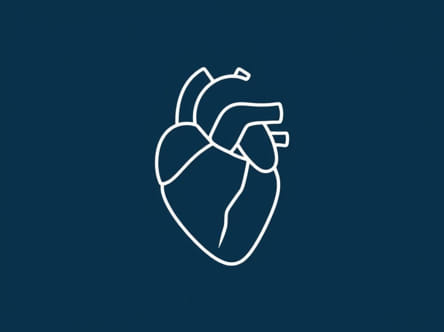 Removal Of A Portion Of The Membranous Covering Of The Heart