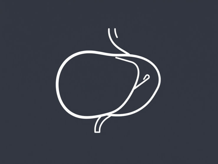 Right Hepatic Lobe Cyst