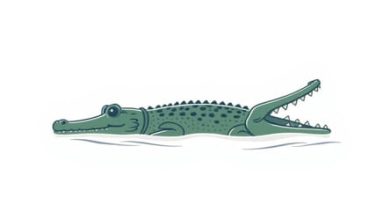 Tender Sweetness Of A Seasick Crocodile