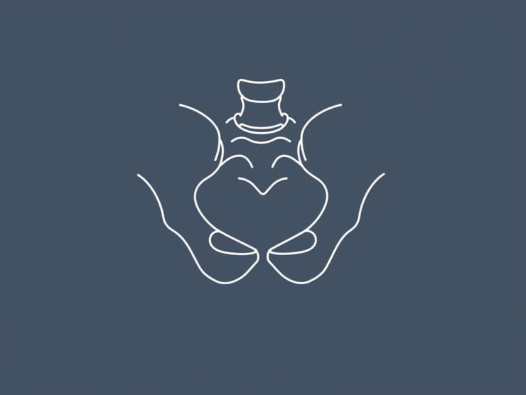 Tendon Conjoint Canal Inguinal