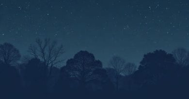 Udall Park Music Under The Stars