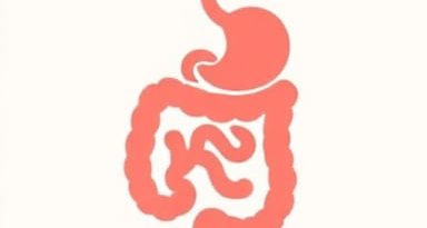 Ulcerative Colitis Carnivore Reddit