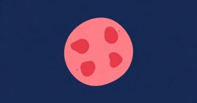 Ulcers Is Infectious Or Noninfectious Disease