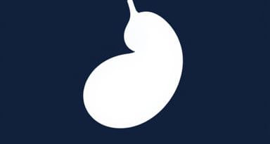 Umbilical Hernia In Adults