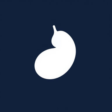 Umbilical Hernia In Adults