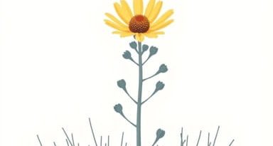 Us State Whose Flower Is Sagebrush