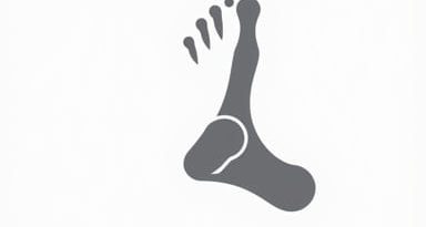 Versus Arthritis Plantar Fasciitis