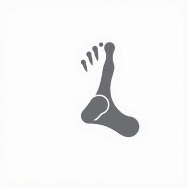 Versus Arthritis Plantar Fasciitis