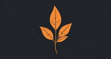 What Is Anacin Used For