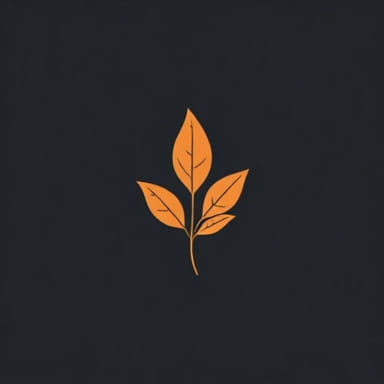 What Is Anacin Used For