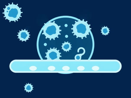 What Is Pus Cells In Urinalysis